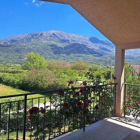 Apartmani Emma Kotor Exteriér fotografie