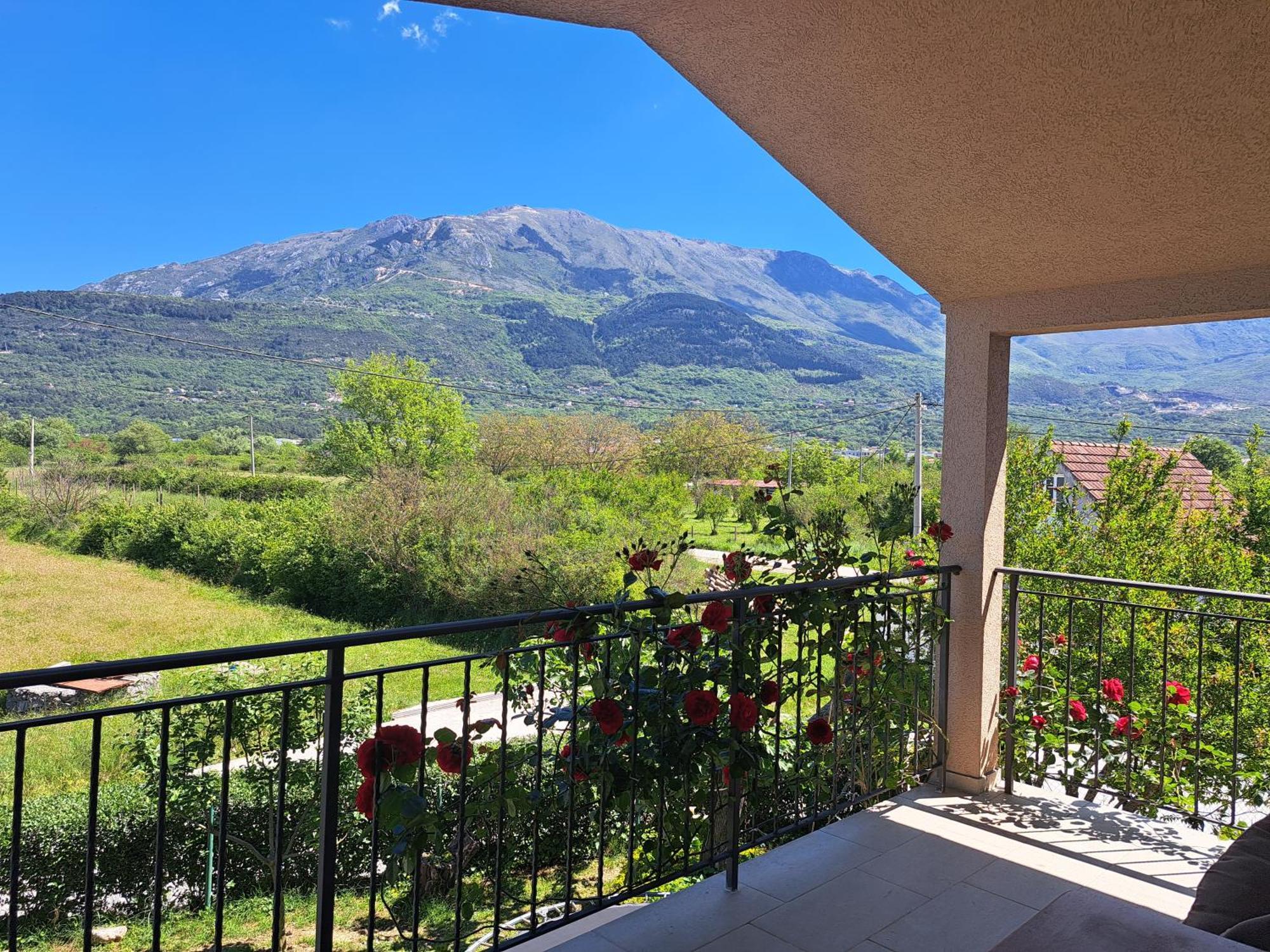 Apartmani Emma Kotor Exteriér fotografie