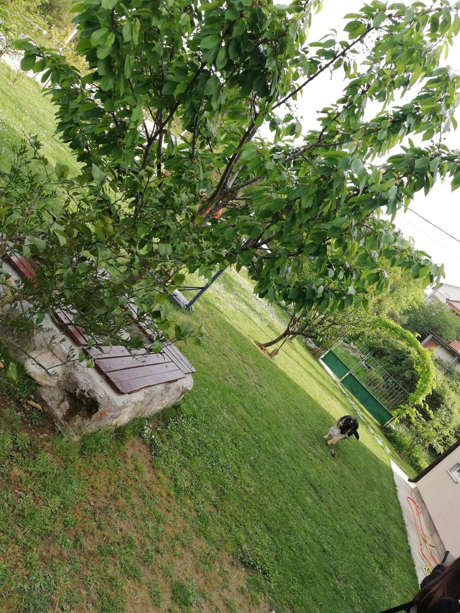 Apartmani Emma Kotor Pokoj fotografie